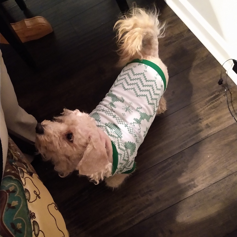 Meet your Posher, Stacey